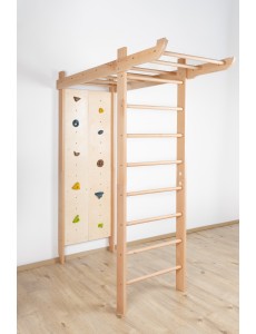 Različica: Spartak 1 Različica: Spartak 1